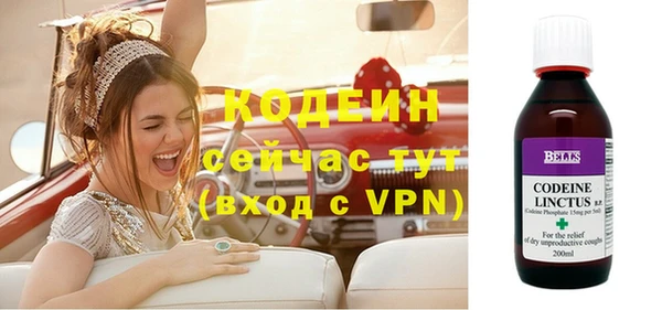 стаф Киренск