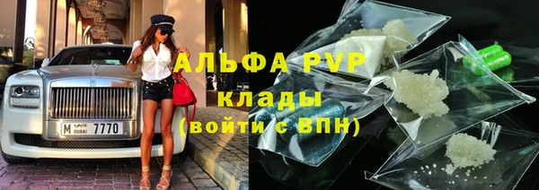 стаф Киренск